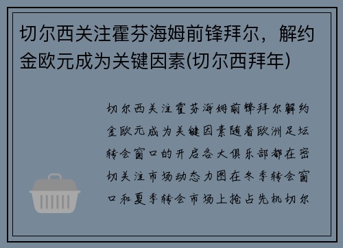 切尔西关注霍芬海姆前锋拜尔，解约金欧元成为关键因素(切尔西拜年)